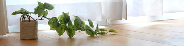 プライバシーポリシー